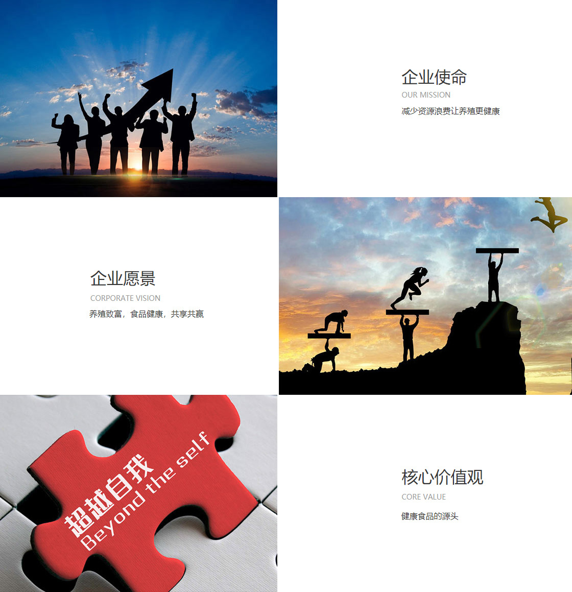 雷火电竞体育(图1)